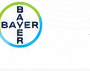 Bayer